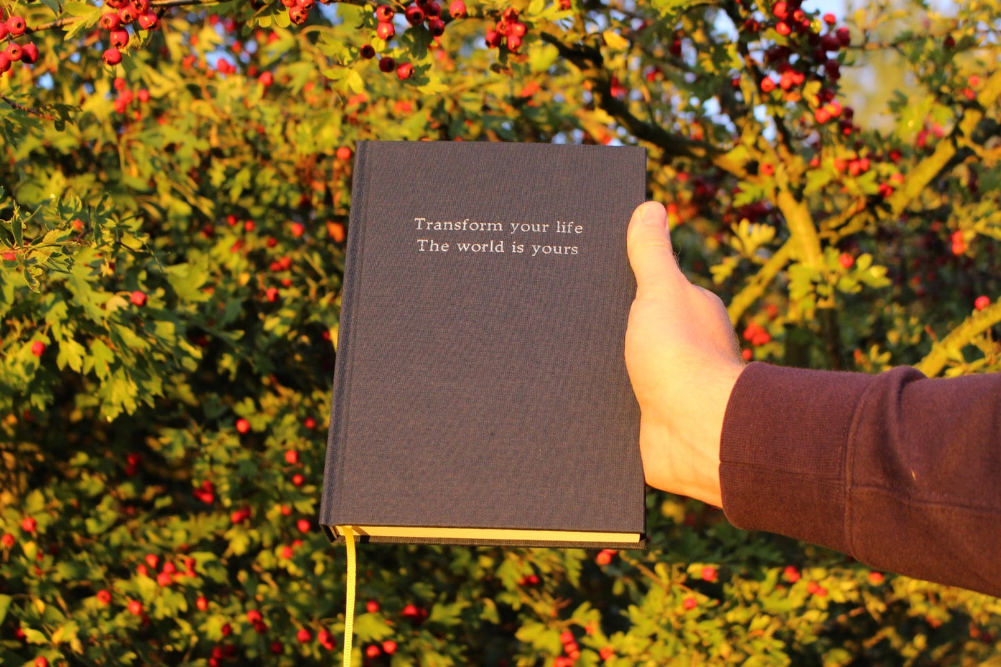 DIE WELT GEHÖRT DIR (Teil2)