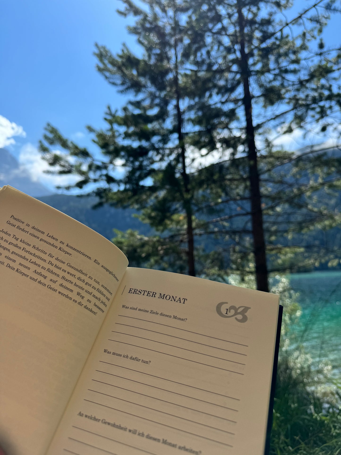 Verändere dein Leben: DER ERSTE SCHRITT (Teil1)