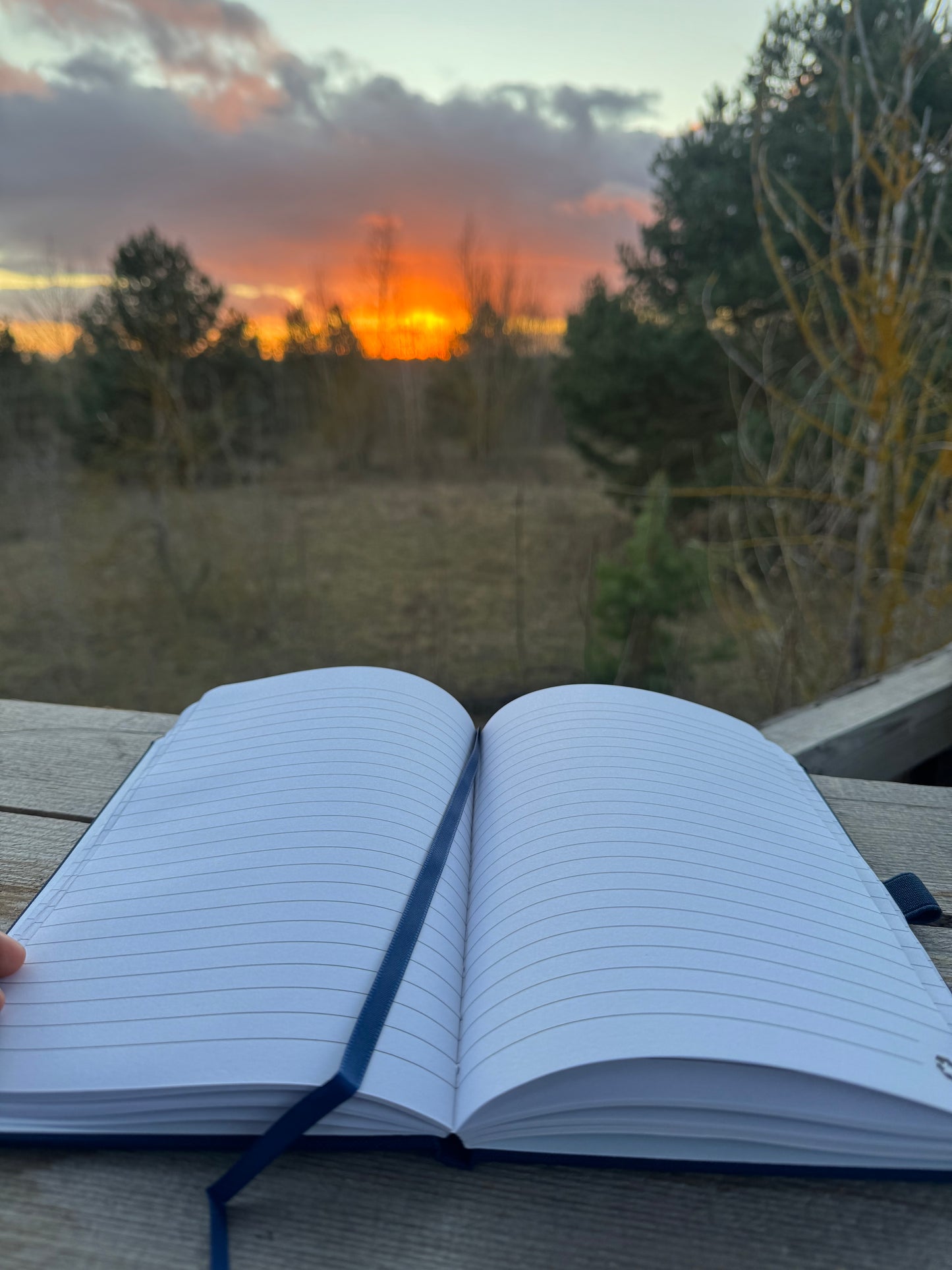 MINDFREY Bundle (Notizbuch+Stift)