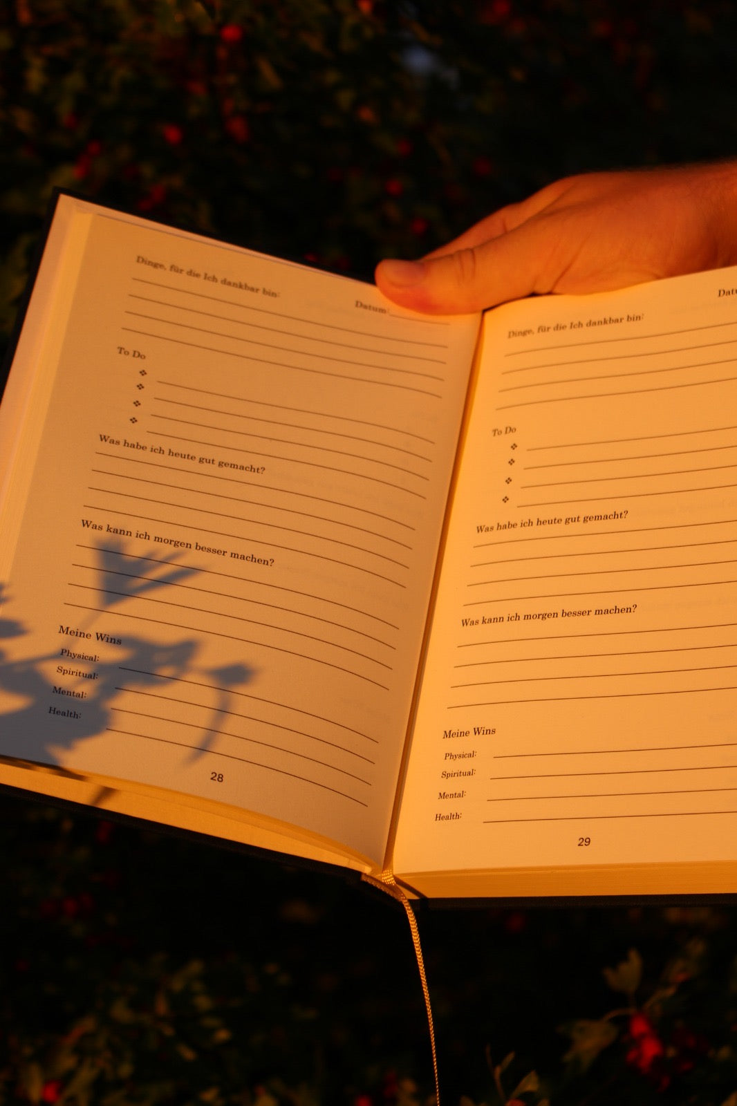 DIE WELT GEHÖRT DIR (Teil2)