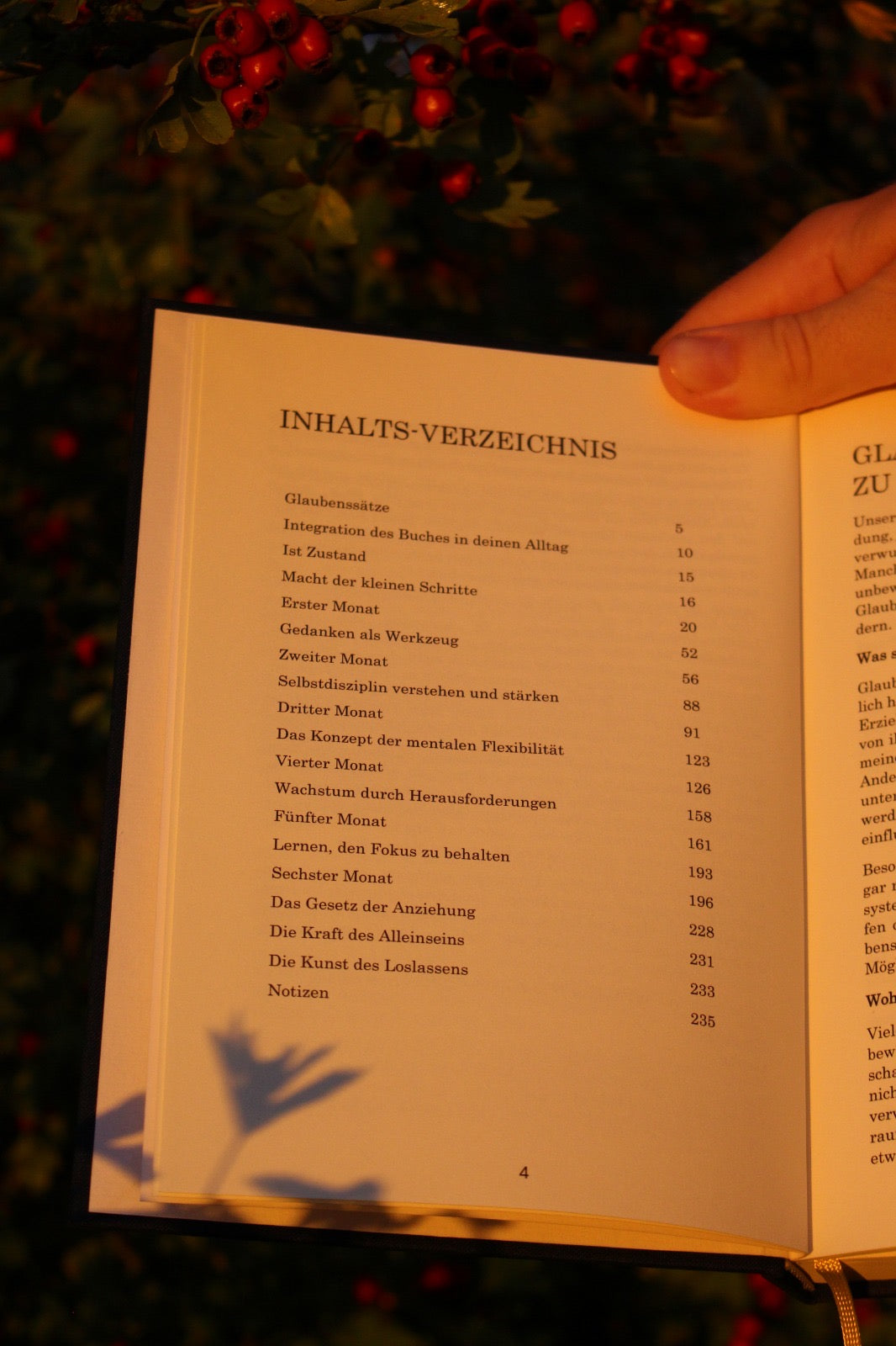 DIE WELT GEHÖRT DIR (Teil2)