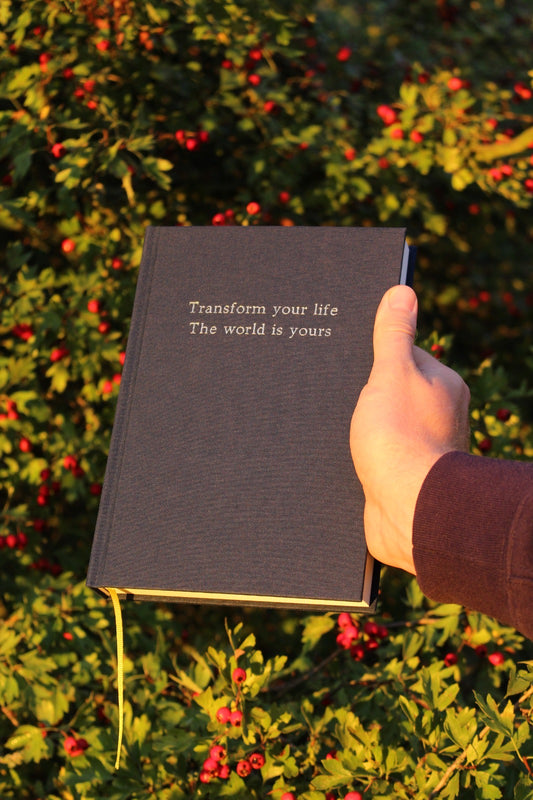 DIE WELT GEHÖRT DIR (Teil2)