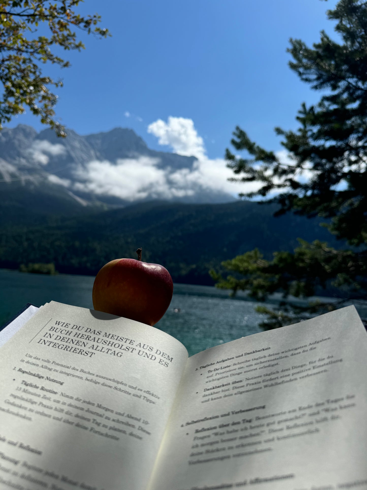 Verändere dein Leben: DER ERSTE SCHRITT (Teil1)