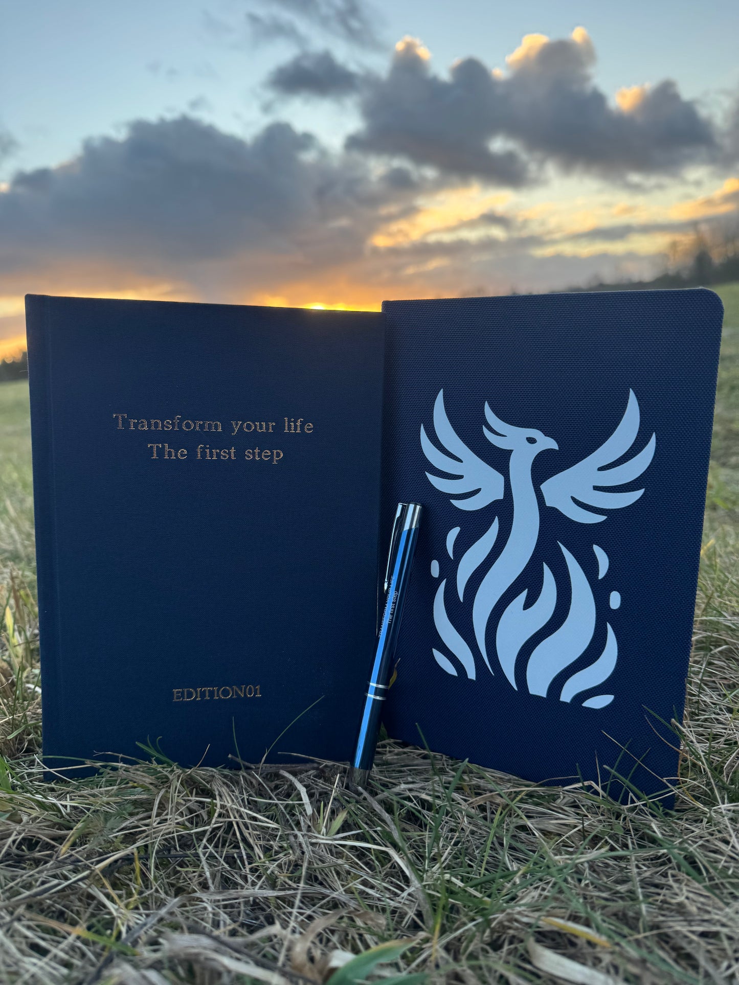 All in 1 Bundle(Buch 1+Notizbuch+Stift)