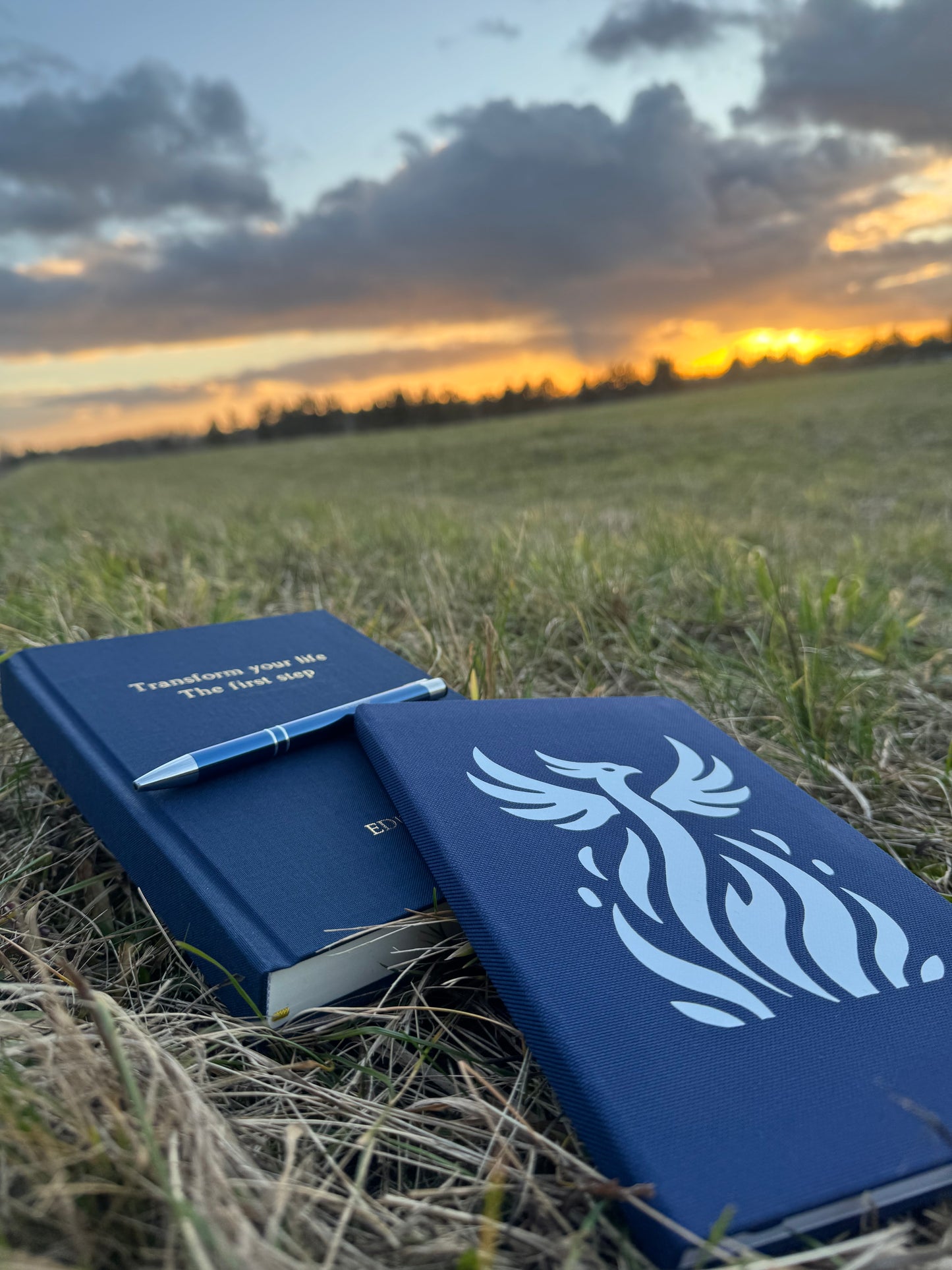 All in 1 Bundle(Buch 1+Notizbuch+Stift)