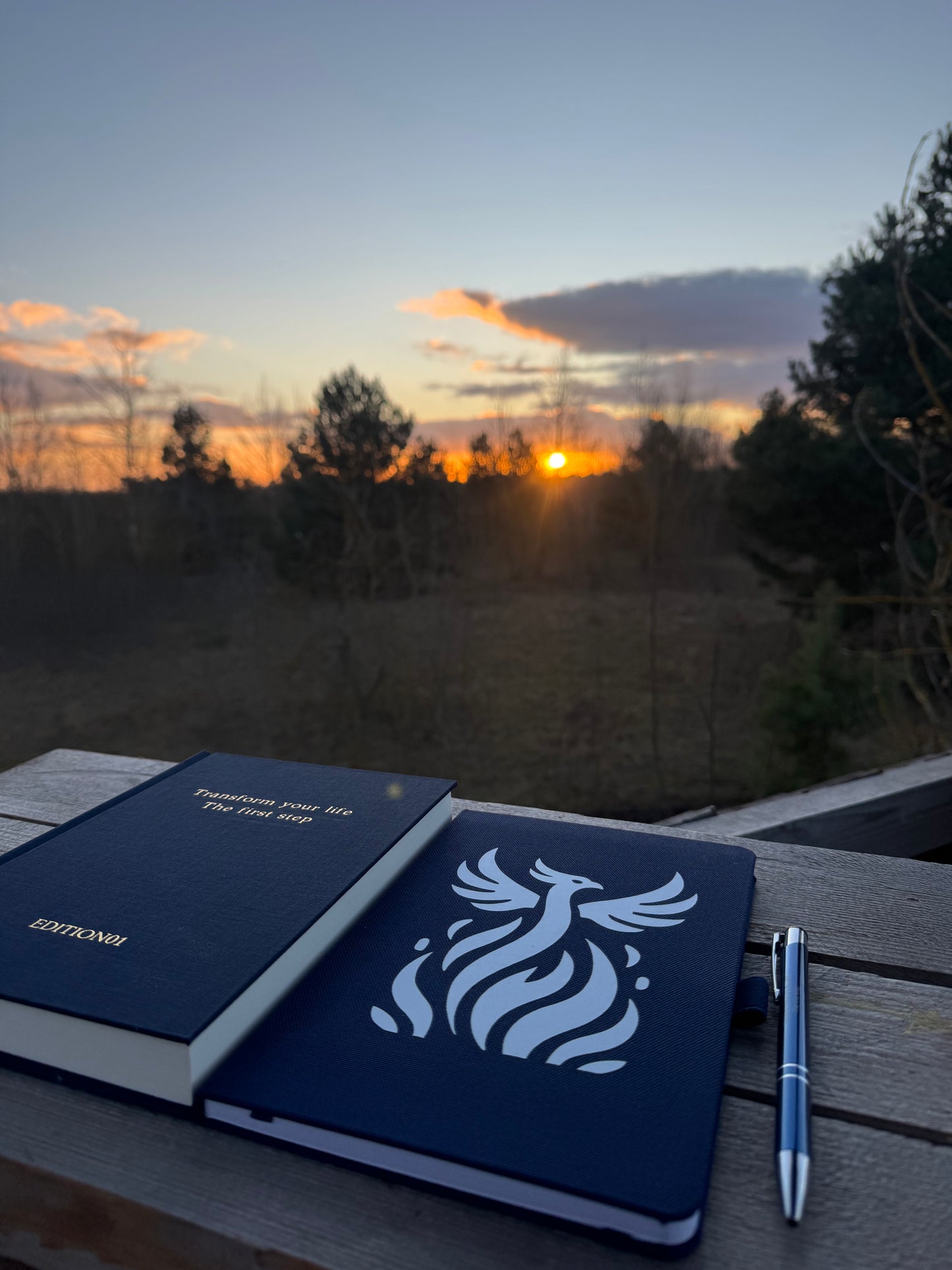 All in 1 Bundle(Buch 1+Notizbuch+Stift)