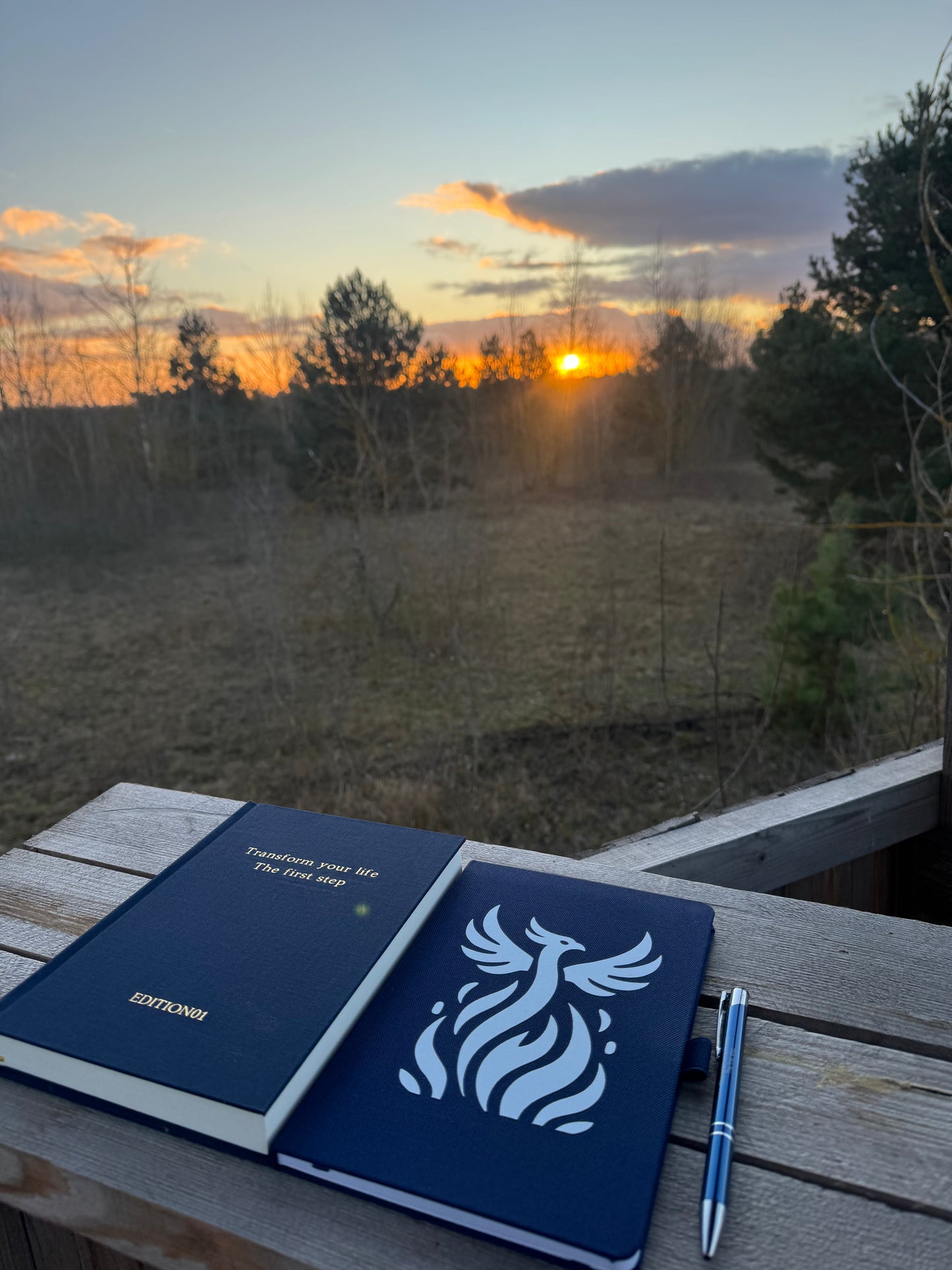 All in 1 Bundle(Buch 1+Notizbuch+Stift)