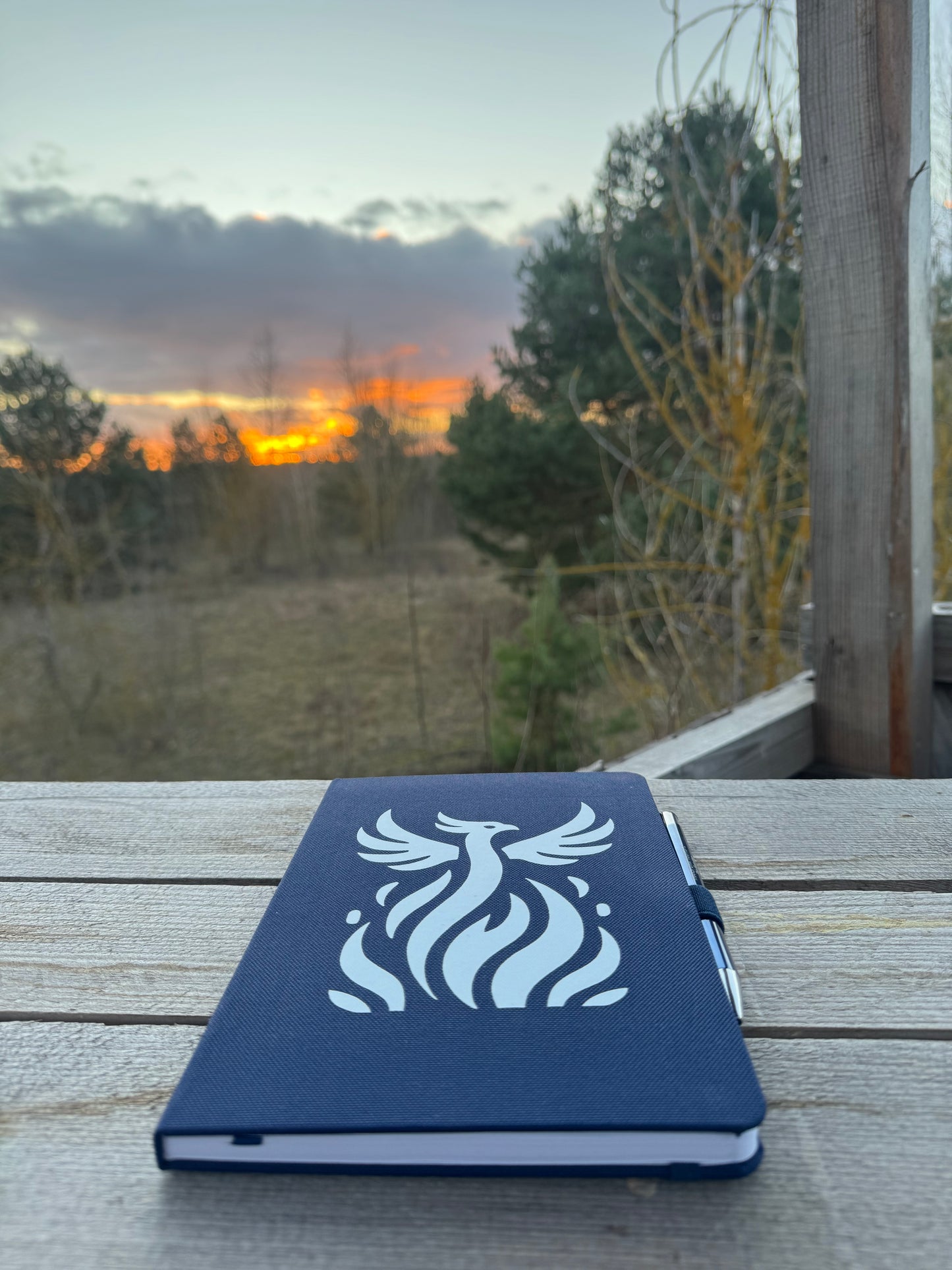 MINDFREY Bundle (Notizbuch+Stift)