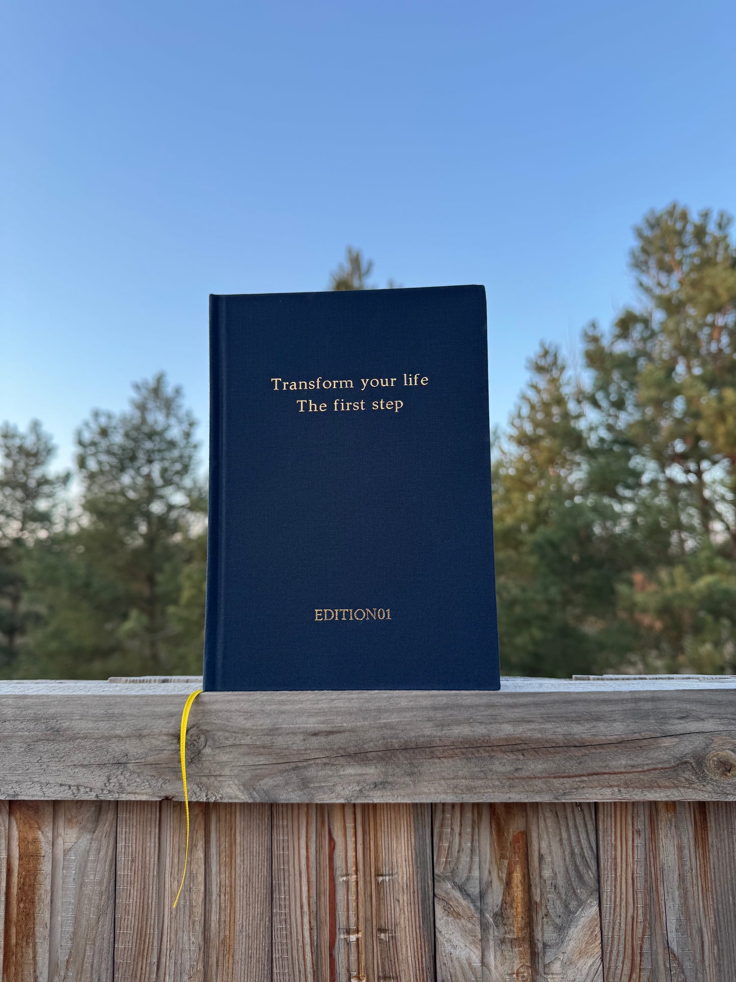 Transform Your Life Teil1 & Teil2