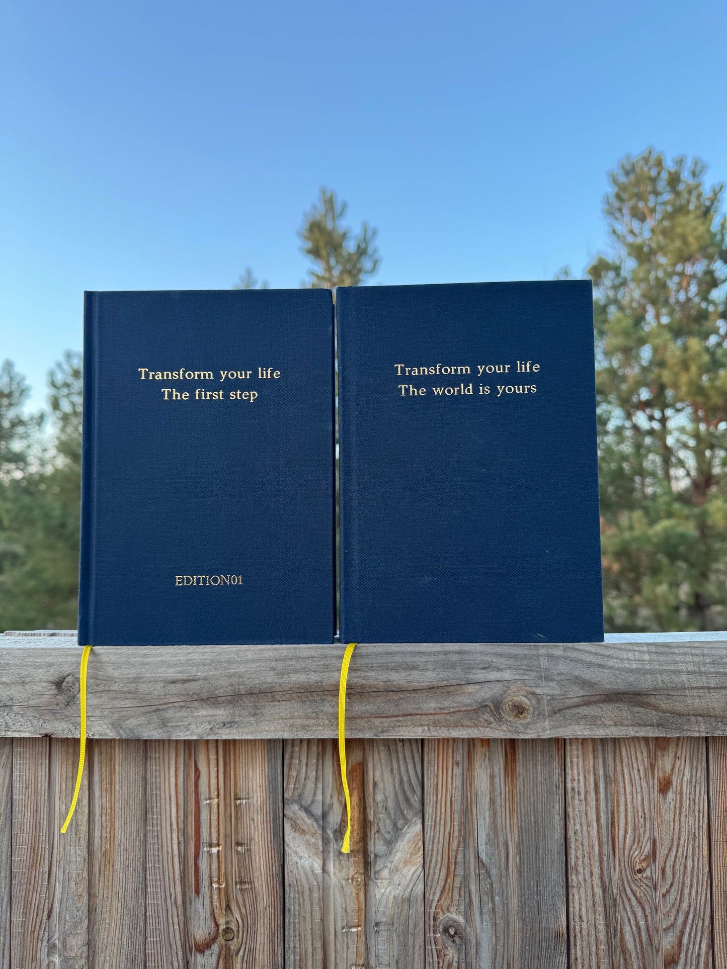 Transform Your Life Teil1 & Teil2