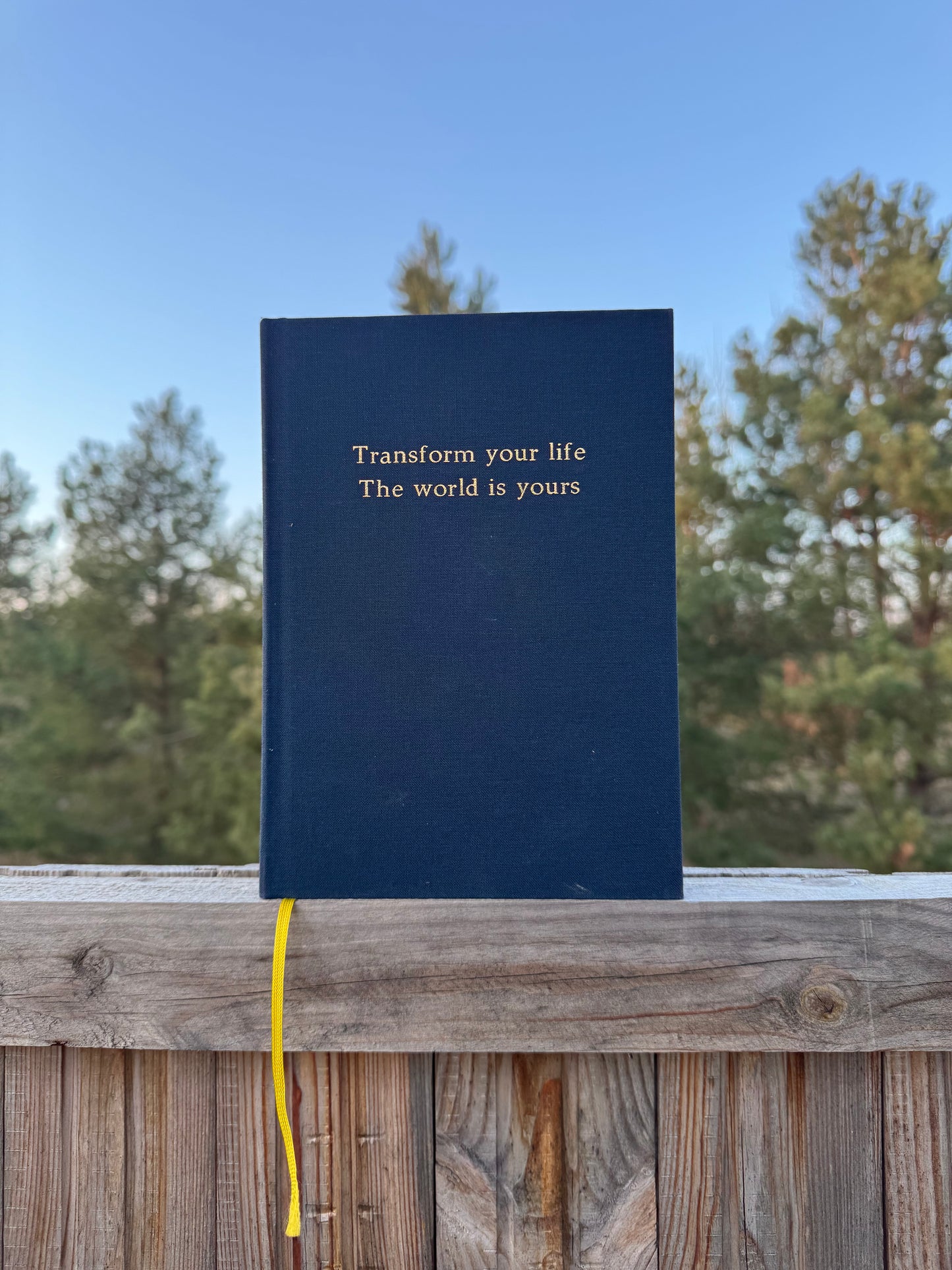 Transform Your Life Teil1 & Teil2